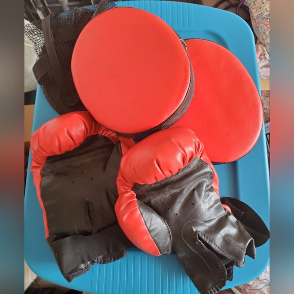 Boxing Glove & Pad Set - Picture 2 of 4